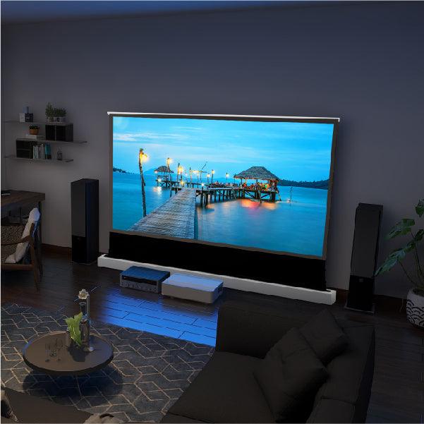 ALR PROJECTOR SCREEN (100 INCH) + LASER PRO PROJECTOR