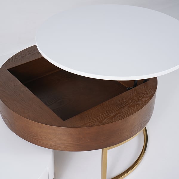 Modern Round Wood Coffee Table